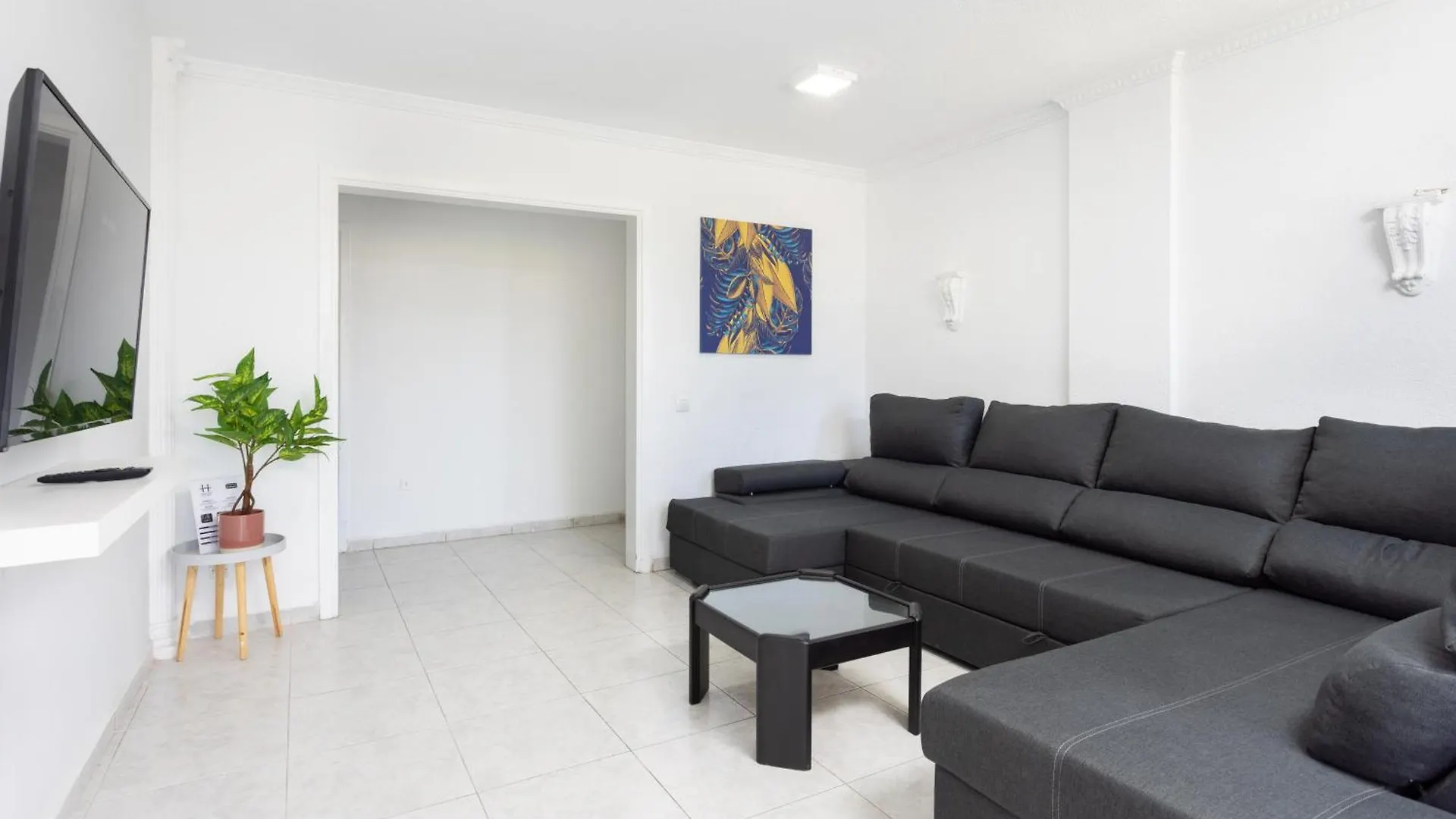 Three Spacious Apartments 150M From The Las Americas Promenade Arona   Arona (Tenerife)